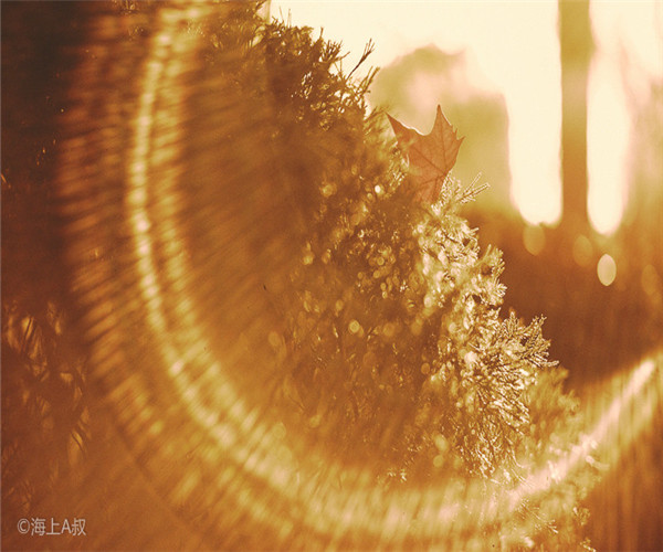 為什么大家喜歡在4月份裝修房子呢？